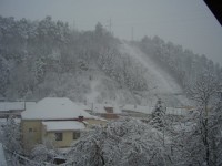 /album/fotogaleria/a2405-1054246208458-1594909584-139393-7578203-n-jpg/