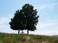 /album/fotogaleria/a2405-1054319930301-1594909584-139571-2506234-n-jpg/