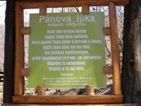 /album/fotogaleria/a3088-1077539057793-1205755176-30189416-8002124-n-jpg/