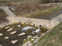 /album/fotogaleria/a3088-1077539097794-1205755176-30189417-2696091-n-jpg/