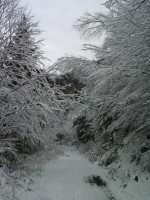 /album/fotogaleria/a4989-100174213328195-100000068491835-1863-2821180-n-jpg/