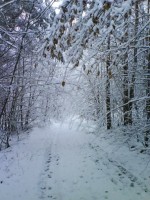 /album/fotogaleria/a5580-100218483323768-100000068491835-3113-4756783-n-jpg/