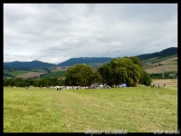 /album/fotogaleria/a5651-1131782249824-1085284448-30415400-5029430-n-jpg/