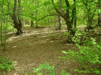 /album/fotogaleria/n1668400984-123718-6044-jpg/