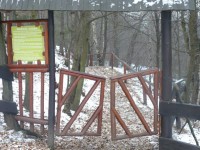 /album/fotogaleria/n1489543508-30037432-8023227-jpg/