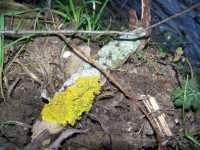 /album/fotogaleria/a17332-1249391766780-1589062751-607691-23925-n-jpg/