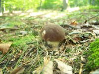 /album/fotogaleria/a17332-1249391446772-1589062751-607683-1622528-n-jpg/