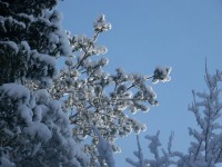 /album/fotogaleria/a17332-1249365286118-1589062751-607591-3614919-n-jpg/