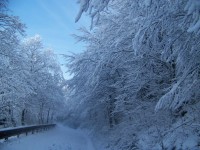 /album/fotogaleria/a17332-1249363886083-1589062751-607588-3604181-n-jpg/