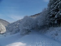 /album/fotogaleria/a17332-1249363806081-1589062751-607586-5443605-n-jpg/